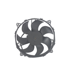 S-AUC10781